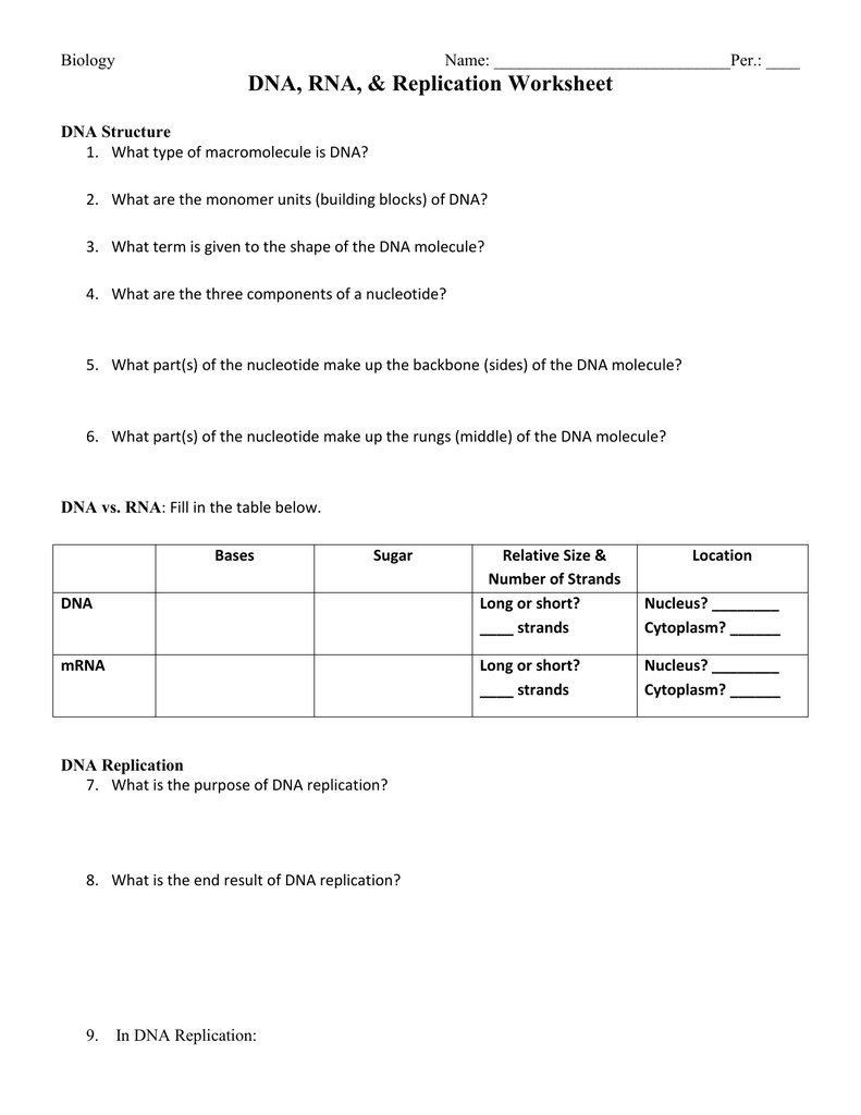 DNA Replication WKST With Regard To Dna And Replication Worksheet