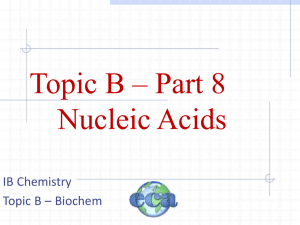 B8 Nucleic acids