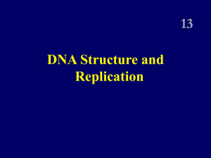 DNA - Ch 13