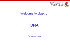 Nucleotides and Nucleic Acids: Lecture 3
