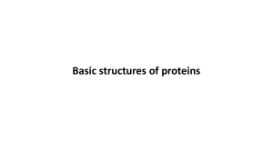 Basic structures of proteins