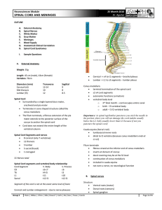 Neurosciences Module 25 Month 2010 SPINAL CORD AND