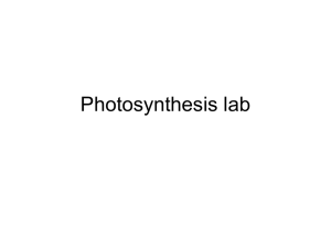 Photosynthesis - Orange Coast College