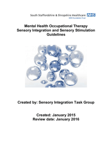 Mental Health Sensory Integration Guidelines 2015
