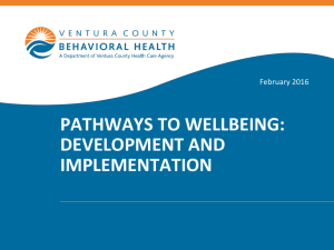 Pathways to Wellbeing: Development and Implementation