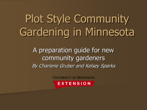 Plot Style Community Gardening in Minnesota