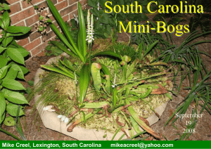 South-Carolina-Mini
