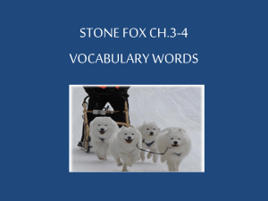 Stone Fox Vocabulary Words