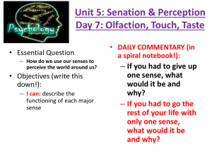 Day 7 - Olfaction, & Other Sentence