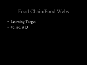 Food chains and food webs