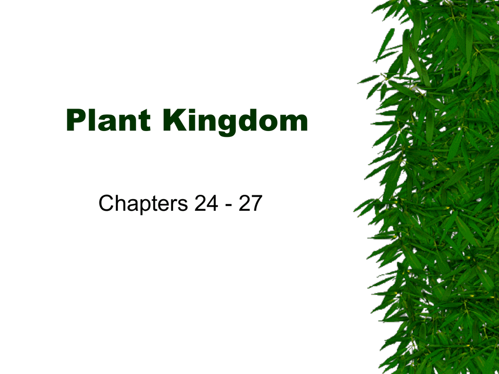 Animals unit 7. Стебель для презентации POWERPOINT. Classifying Plants. Plant taxonomy.