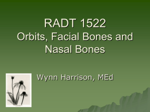 RADT 1522 Orbits, Facial Bones and Nasal Bones