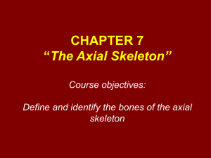 CHAPTER 7 “The Skeleton”