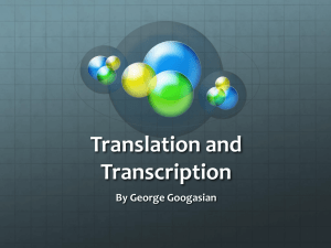 Translation and Transcription - NylandBiology2012-2013
