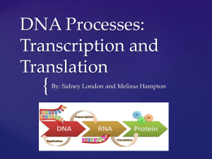 DNA processes