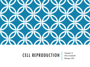 Cell Reproduction PPT