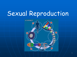 Sexual Reproduction