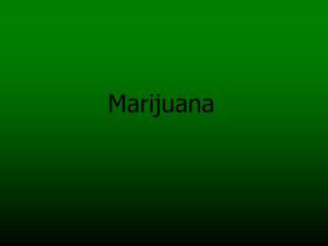 Marijuana