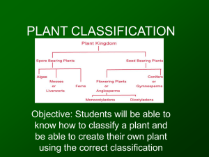 PLANT CLASSIFICATION