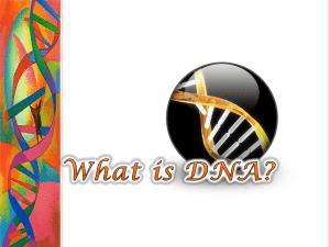 What is DNA PowerPoint