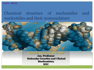 3- Chemical structure of nucleosides and nucleotides and their