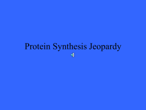 ProteinSynthesis Jeopardy2014