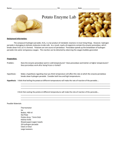 Potato Enzyme Lab