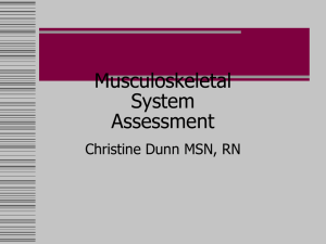 Musculoskeletal System Assessment VN 86 2012 Dunn