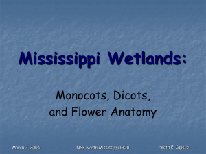 Mississippi Wetlands - University of Mississippi