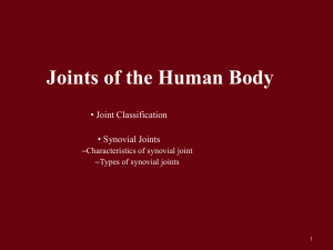 Joints PPT