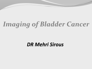 DR Mehri Sirous Imaging of Bladder Cancer fig. 1.