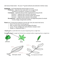 Life_Science-Review_Guide[1]