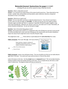 Naturalist Journal: Instructions for page 1 & 2