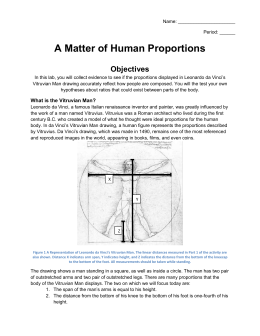 Vitruvian man theory picture