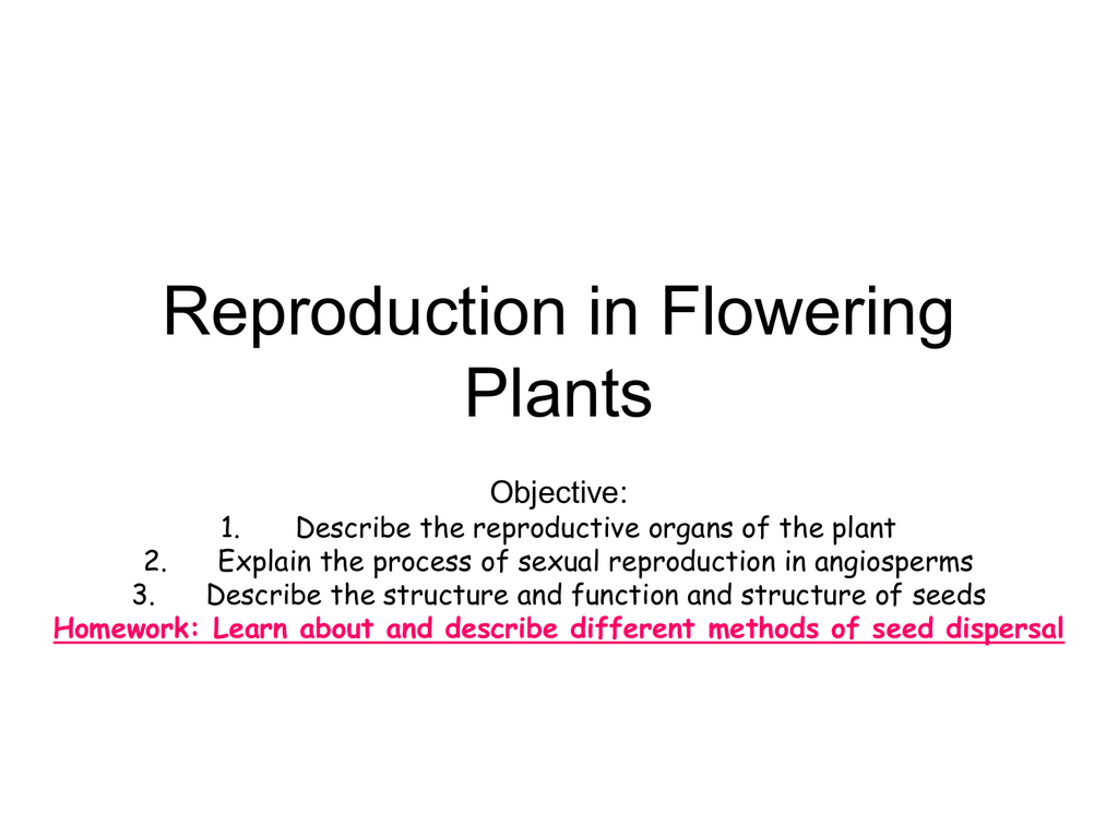 Reproduction In Flowering Plants