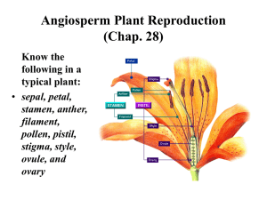 Angiosperm Plant Reproduction (Chap. 28)