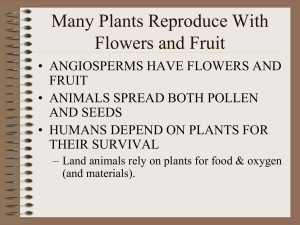 Many Plants Reproduce With Flowers and Fruit