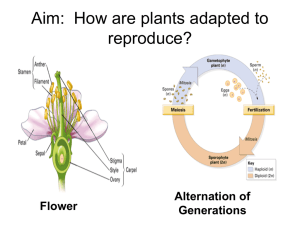 How are plants adapted to reproduce?
