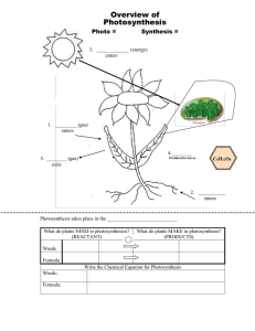 Photosynthesis & Cellular Respiration Reading