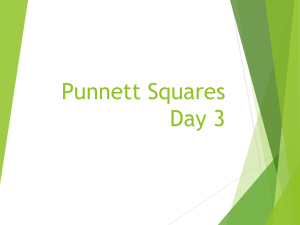 Punnett Squares Day 3