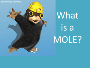 What is a MOLE?