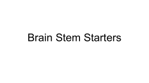 Weymouth Brain All Starts PowerPoint