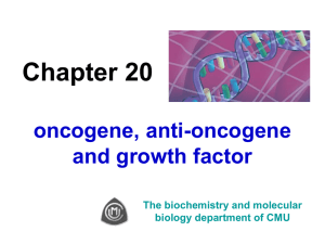 Chapter 20 oncogene, anti-oncogene and growth factor The