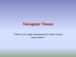 Oncogenic Viruses