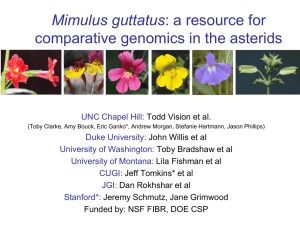 Evolutionary genomics of Mimulus