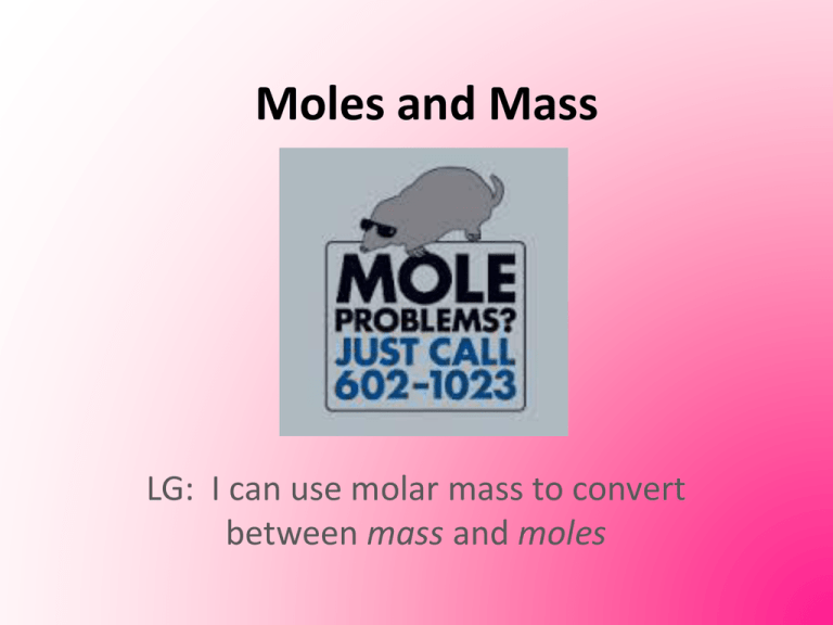 Lesson 3 Moles And Mass