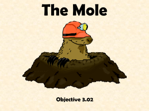 Mole PowerPoint - Avogadro's Number, Molar Mass Calculations