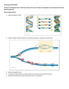 AP Biology EXAM REVIEW Genetics