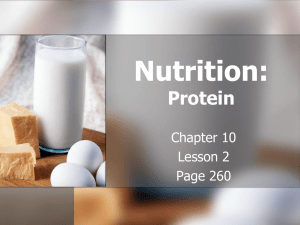 Nutrition: Protein