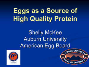 Eggs as a Source of High Quality Protein Presentation